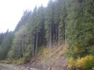 DSCN1145.JPG