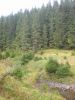 DSCN1177.JPG
